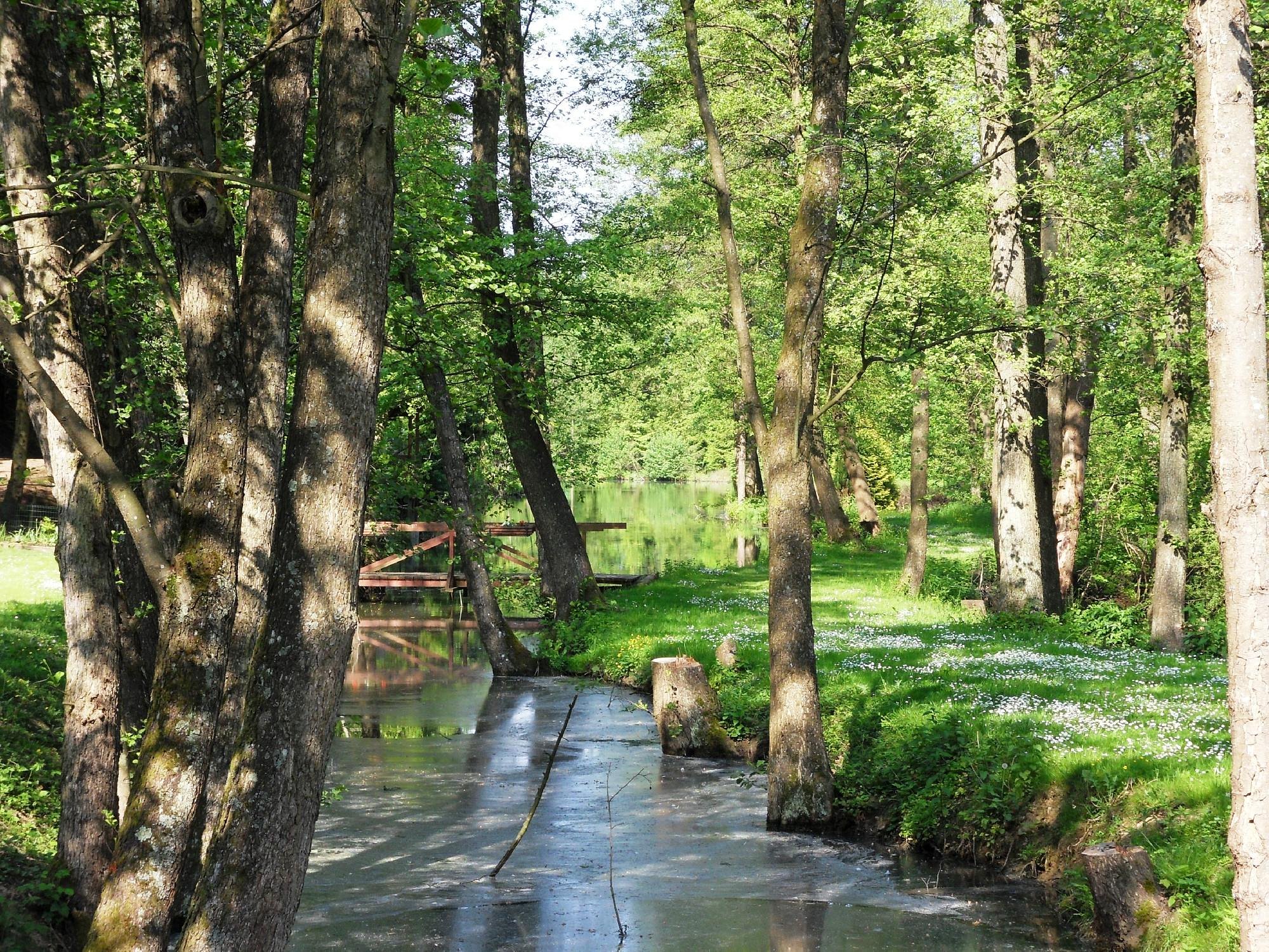 Loisirs &amp; Activit&eacute;s &agrave; proximit&eacute; de la Maison Jenny et grands clubs de golf Huningue 7