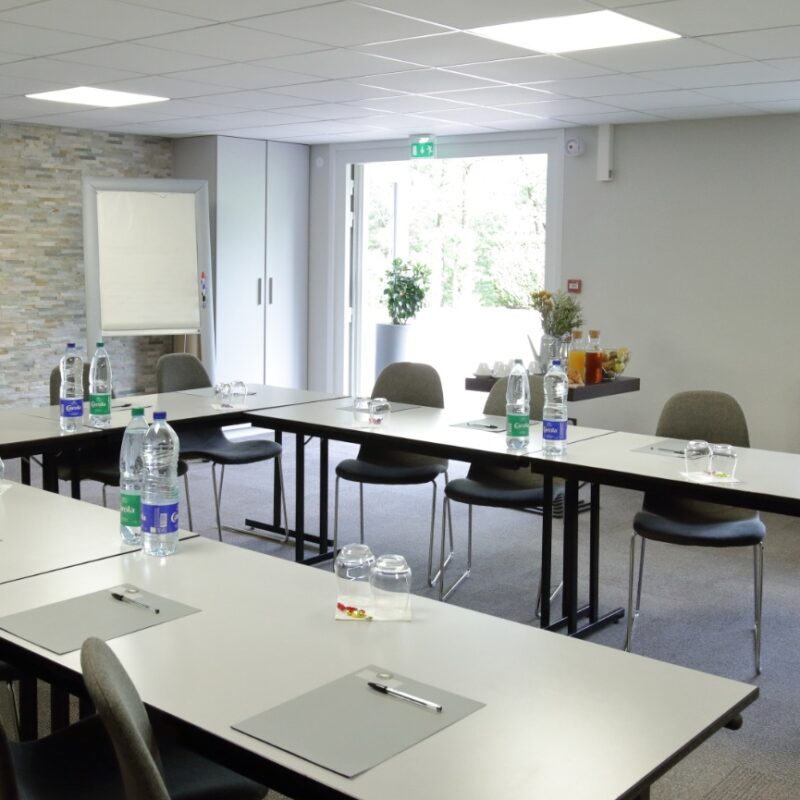 Un cadre inspirant pour vos &eacute;v&eacute;nements professionnels pr&egrave;s de B&acirc;le et dans le Sundgau Brunstatt 5